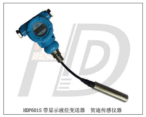 HDP601S帶現(xiàn)場顯示投入式自來水池液位變送器質(zhì)量好
